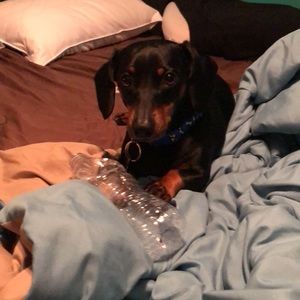 Meet your Posher, Ashley